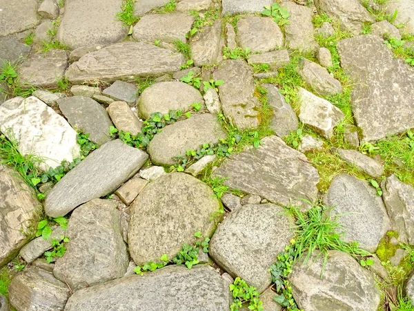 天然石タイルのクローズアップ — ストック写真