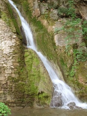 Parktaki güzel şelale