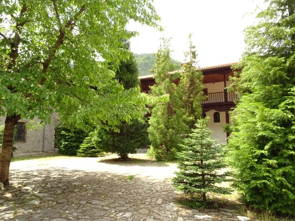 Cour Avec Sol Pierre Conifères — Photo