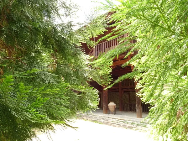 Деревянный Дом Хвойными Деревьями — стоковое фото