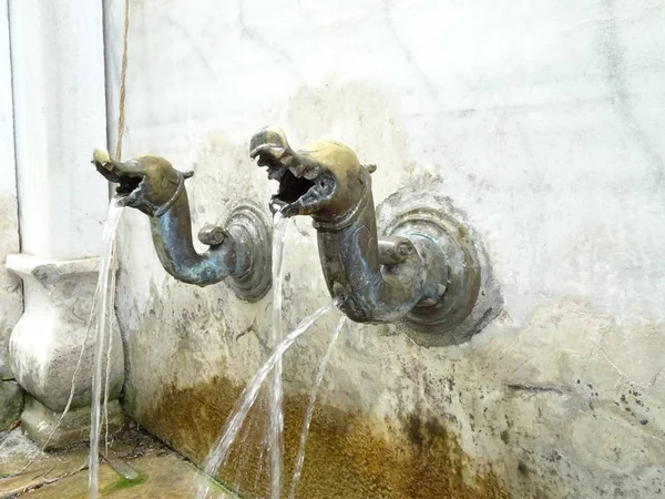 Dragon Heads Fountain Taps — Stock Photo, Image