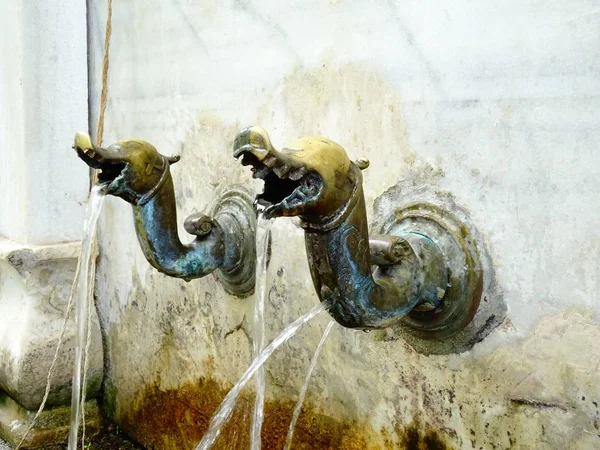 Dragon Heads Fountain Taps — Stock Photo, Image