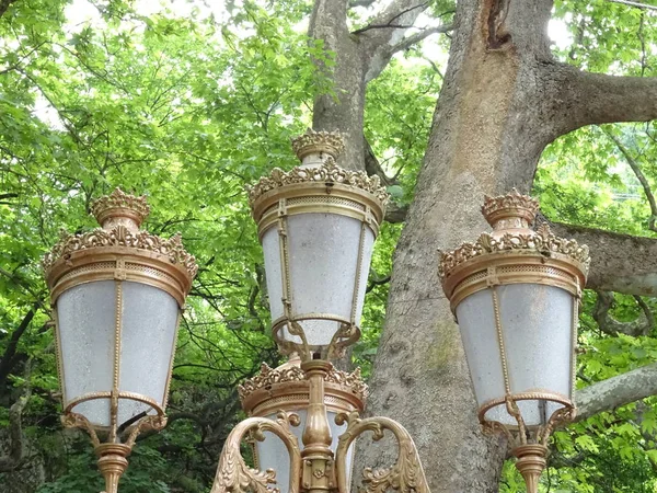Gyllene Vintage Street Lampa Bakgrunden Gröna Träd — Stockfoto