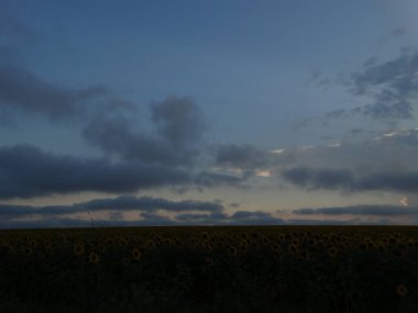 Dramatik günbatımı gökyüzü ve güneş ışınları bulutlardan çıkıyor