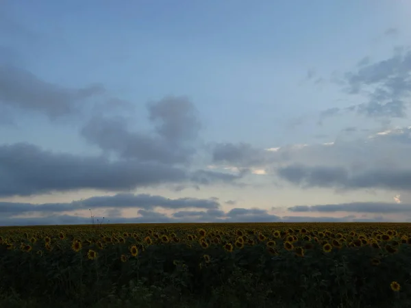 Pôr-do-sol dramático Céu e raios de sol saindo das nuvens — Fotografia de Stock