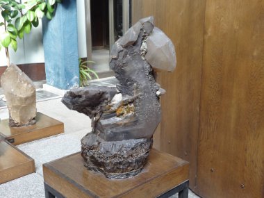 Müzede Papağan Şeklinde Dev Kristal