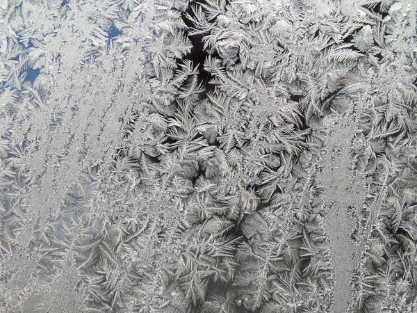 Frost på ett glas — Stockfoto