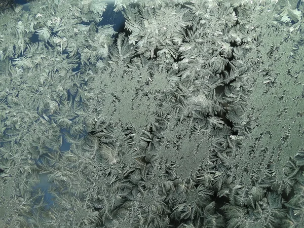 Frost på ett glas — Stockfoto