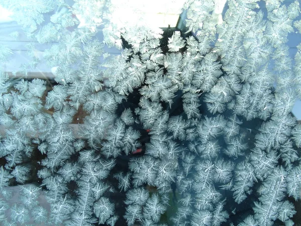 Frost på ett glas — Stockfoto