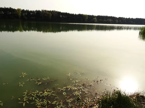 Lago artificial — Fotografia de Stock
