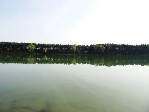 Stromy odraz v umělé jezero — Stock fotografie