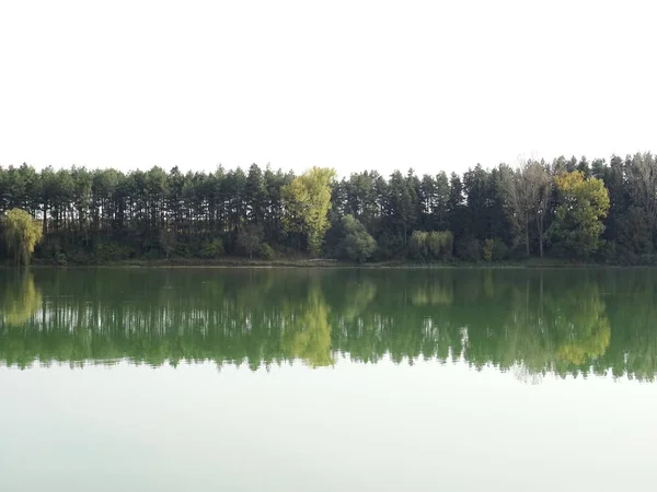 Odbicie drzew w sztuczne jezioro — Zdjęcie stockowe