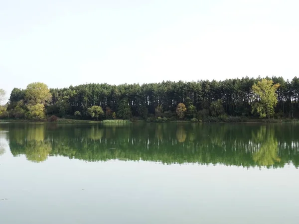 Bäume spiegeln sich in einem künstlichen See — Stockfoto