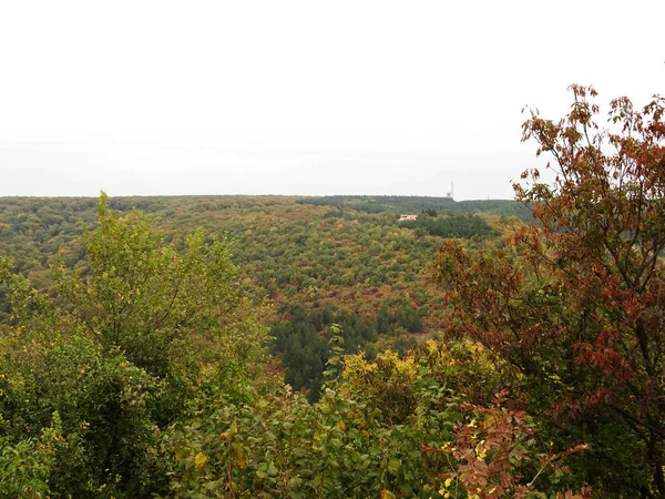 Vista superior de uma floresta verde — Fotografia de Stock