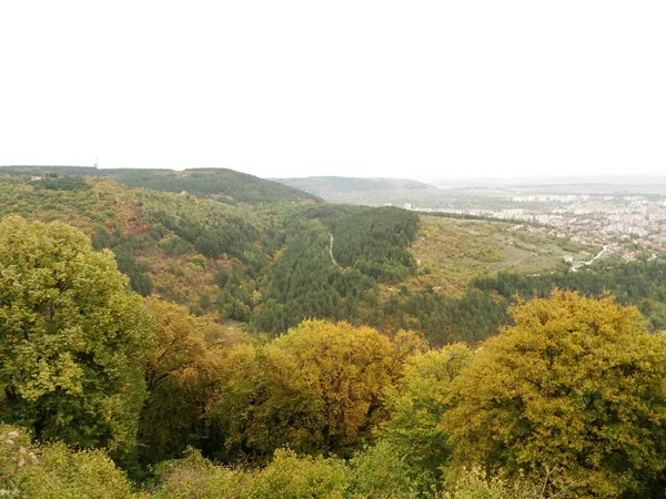 Vista dall'alto di una foresta verde — Foto Stock