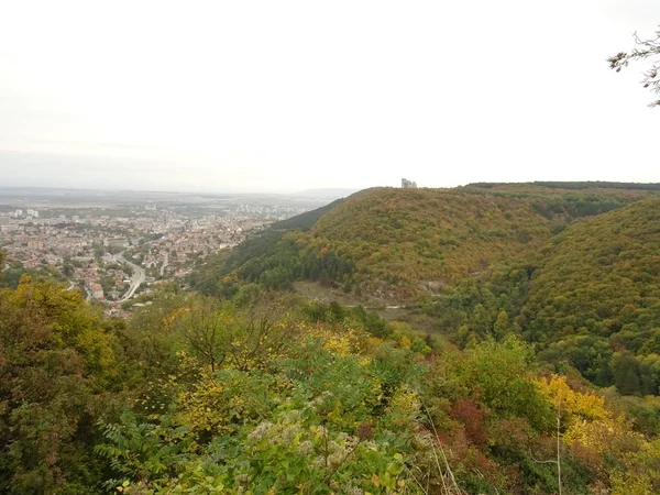 View of a Green Forest and a City — Stock Photo, Image