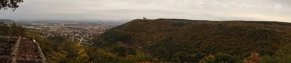 Panorama Veduta di una foresta verde e di una città — Foto Stock