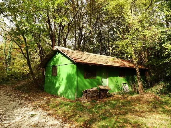 Groene huisje in een bos — Stockfoto