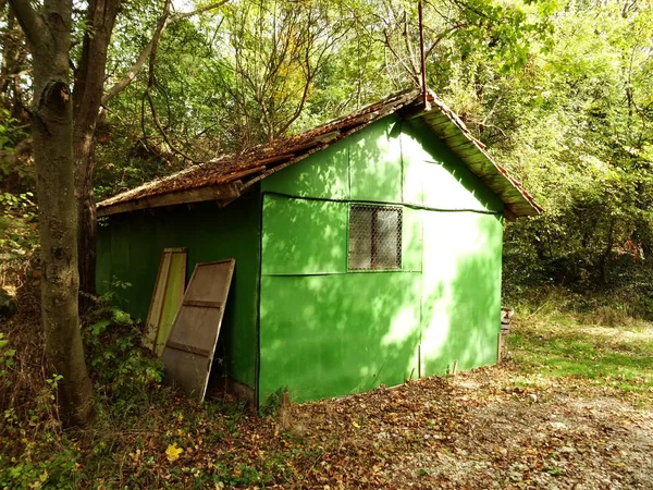 Petite maison verte dans une forêt — Photo