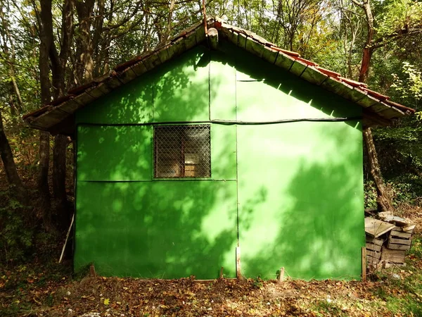 Small Green House in a Forest — Stock Photo, Image