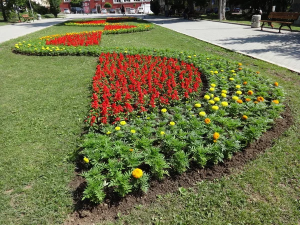 Forma Flores Jardín Ciudad — Foto de Stock