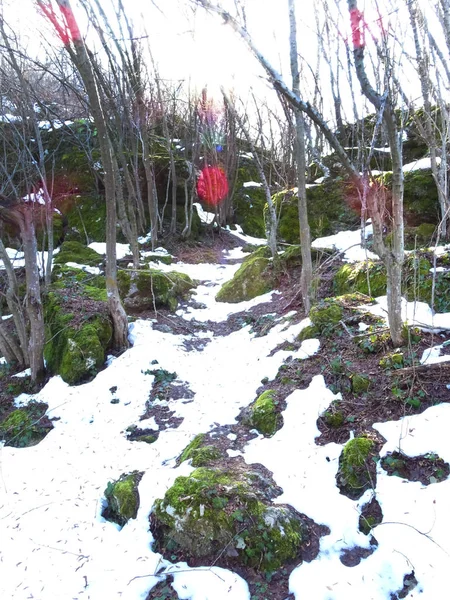 Piedras cubiertas con musgo verde entre la nieve —  Fotos de Stock