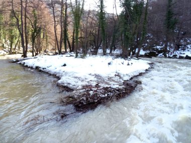 Dryanovo Nehri, Bulgaristan