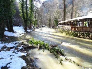 Dryanovo Nehri, Bulgaristan