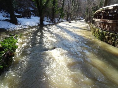 Dryanovo Nehri, Bulgaristan