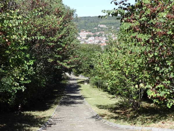 Camino en un parque verde de la ciudad — Foto de Stock