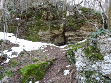 Kar arasında yeşil yosun kaplı taşlar