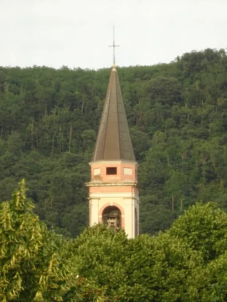 Talyanca Kilise Kule Ağaçları Arasında — Stok fotoğraf