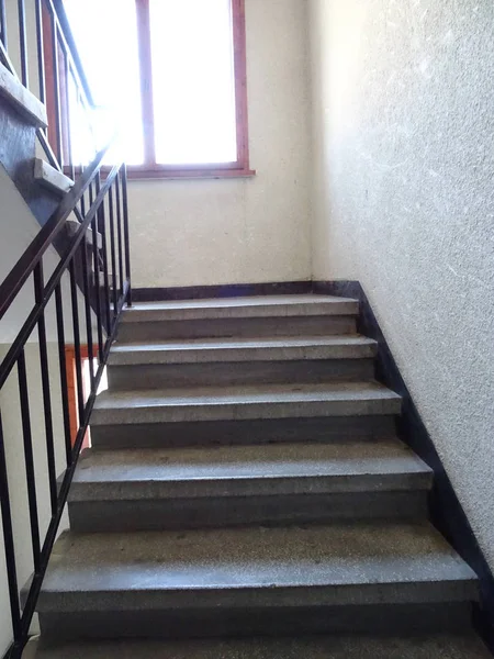 Escaliers Dans Bâtiment Vivant — Photo