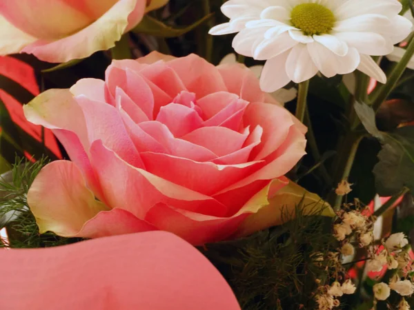 Nahaufnahme eines Straußes mit rosa Rosen und weißen Blumen — Stockfoto