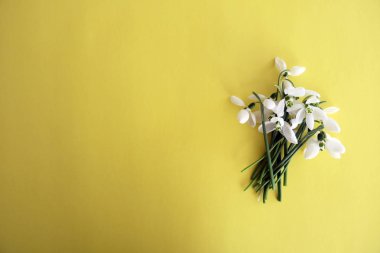 Kardelen çiçek Bouqete islated Sarı zemin üzerine