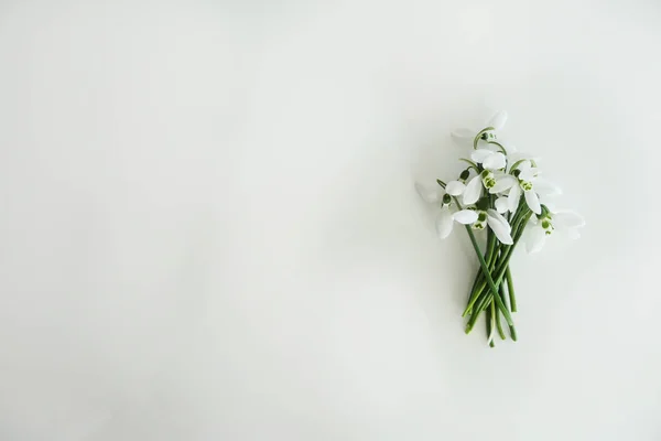 Beyaz arka plan üzerinde ıslah Snowdrop çiçek Bouqete