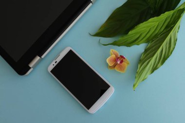 Tablet, beyaz Smartphone, taze yeşil yaprakları ve bir orkide Bloom