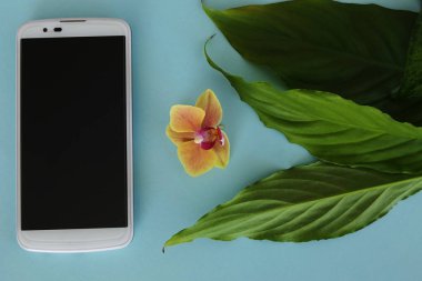 Beyaz Smartphone, taze yeşil yaprakları ve bir orkide Bloom izole