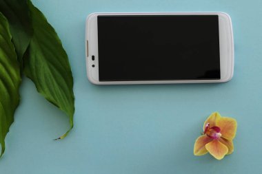 Beyaz Smartphone, taze yeşil yaprakları ve bir orkide Bloom izole