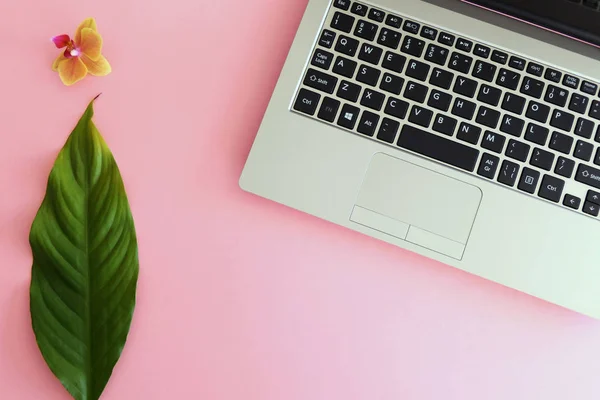 Laptop, Green Leaves and Orchid Flower Blossom isolated on a Pin