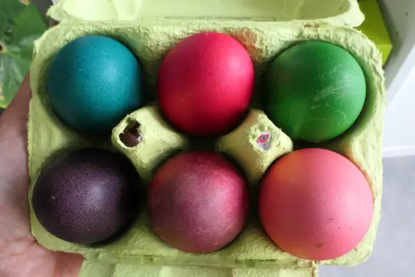 Пасхальные яйца, раскрашенные в разные цвета в бумажном яичном держателе — стоковое фото