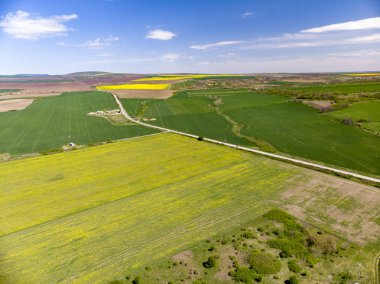 Sarı Tecavüz Tohum Alanlarının Drone Görünümü