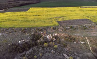 Sarı Tecavüz Tohum Alanlarının Drone Görünümü