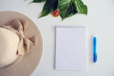 Taze Yeşil Yapraklar, Yaz Şapka, Boş Defter ve Mavi Kalem olduğunu