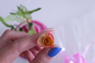 Küçük bir gül çiçeği tutan kadın el