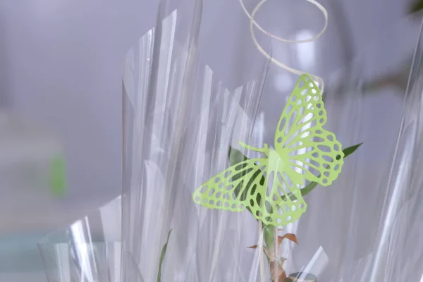 Décoration cadeau papillon vert avec cellophane transpaent — Photo