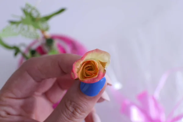 Samičí ruka držící malou růžovou květinka — Stock fotografie