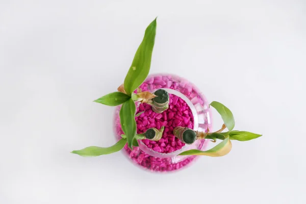 stock image Top View of a Flower pot with bamboo in Pink Soil