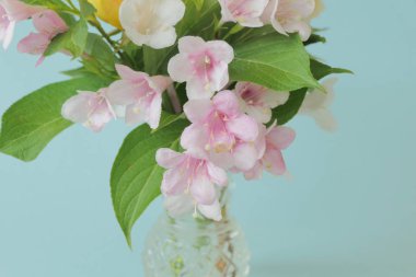 Açık Mavi Backg izole bir Vazo Renkli Çiçekler Mix