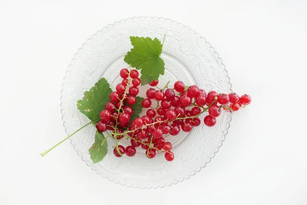 Fresh Juicy Redcurrant isolated on a White Background — Stock Photo, Image